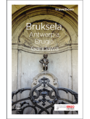 Bruksela, Antwerpia, Brugia, Gandawa. Travelbook. Wydanie 1